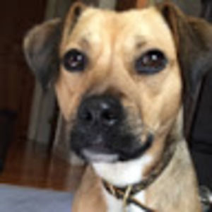 Meet your Posher, Isaiah